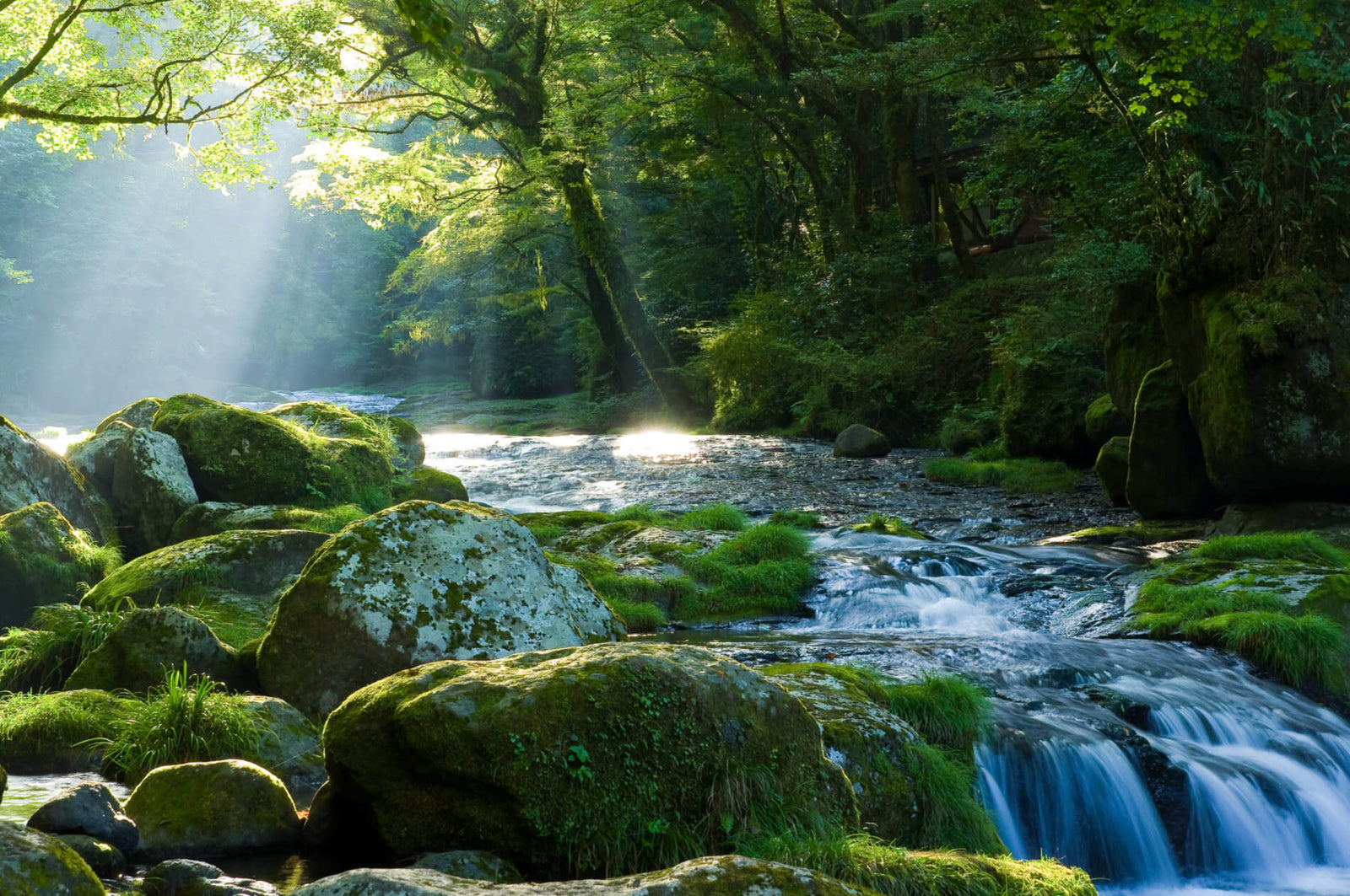 Water &amp; Health